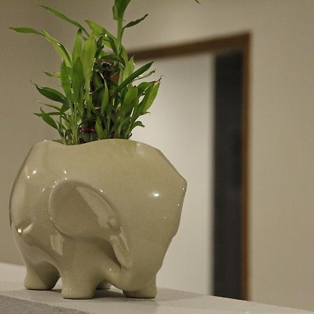 Twin Lotus Samui 호텔 보풋 외부 사진